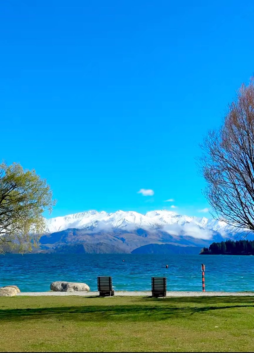 卤蛋（互fo）💯💯 tweet media