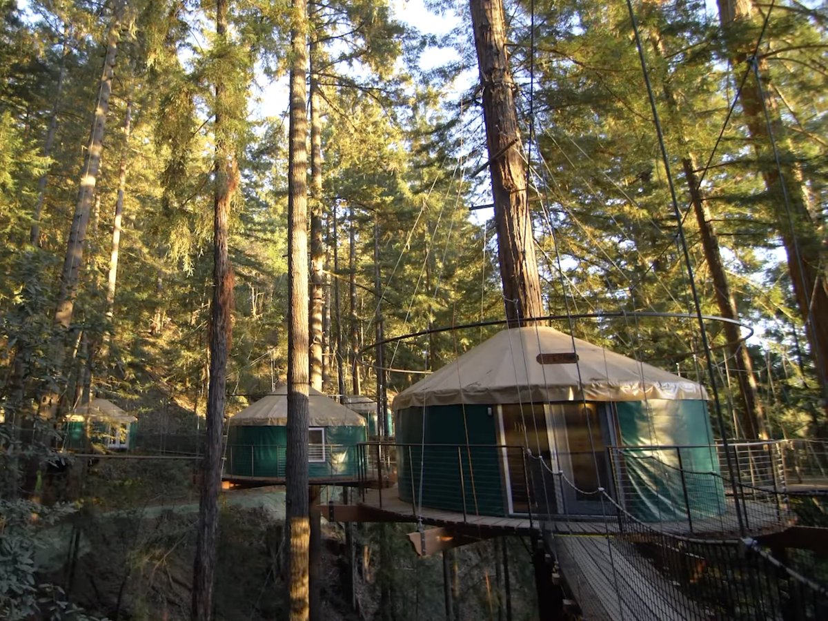 plainjoe tweet media