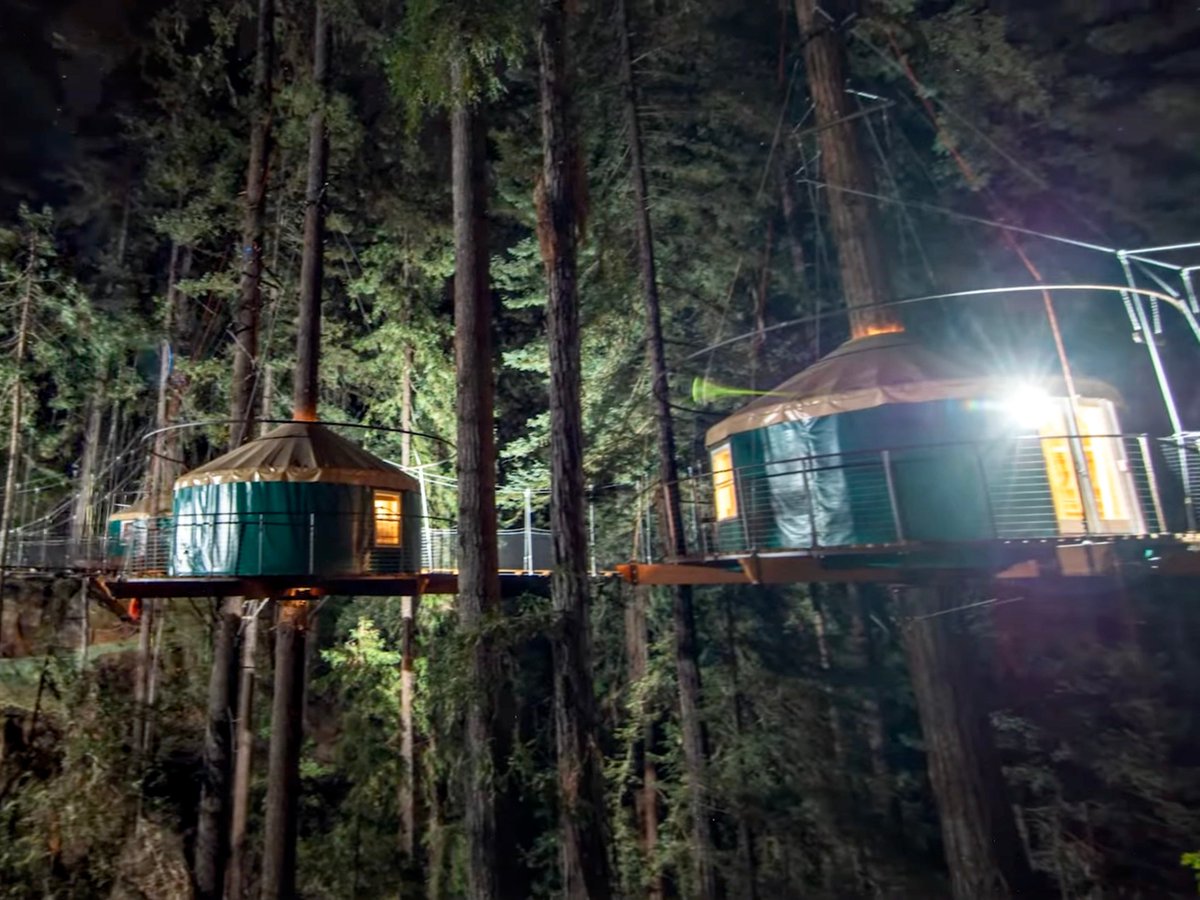 plainjoe tweet media