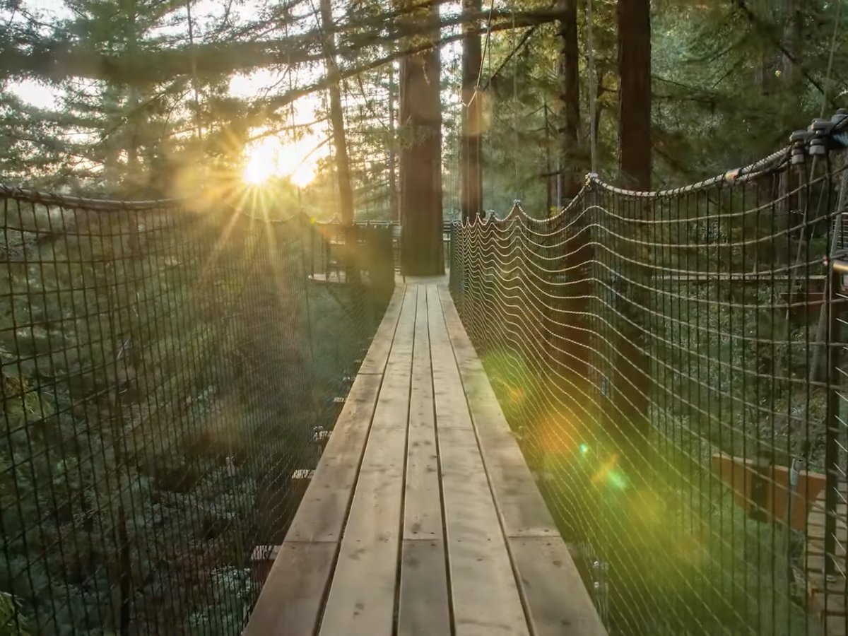 plainjoe tweet media