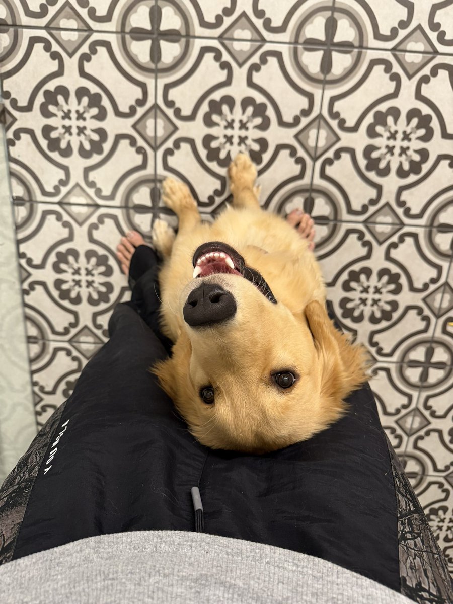 TECTONE 🇺🇸 tweet media