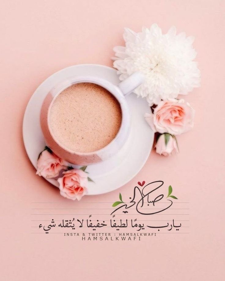 wtyn301's tweet photo. .

..🪞🕊️

- بعض اللحظات الهادئة وحدها 
     تُعـيد ترتيب الحياة بداخلك .🌸

.

.
#صباح_الخيرᅠ https://t.co/VfeKjSxLFl