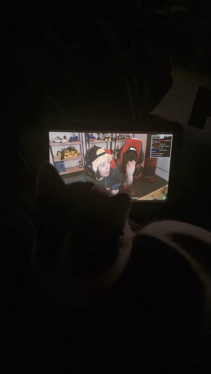 mi gato también esta viendo a quackity