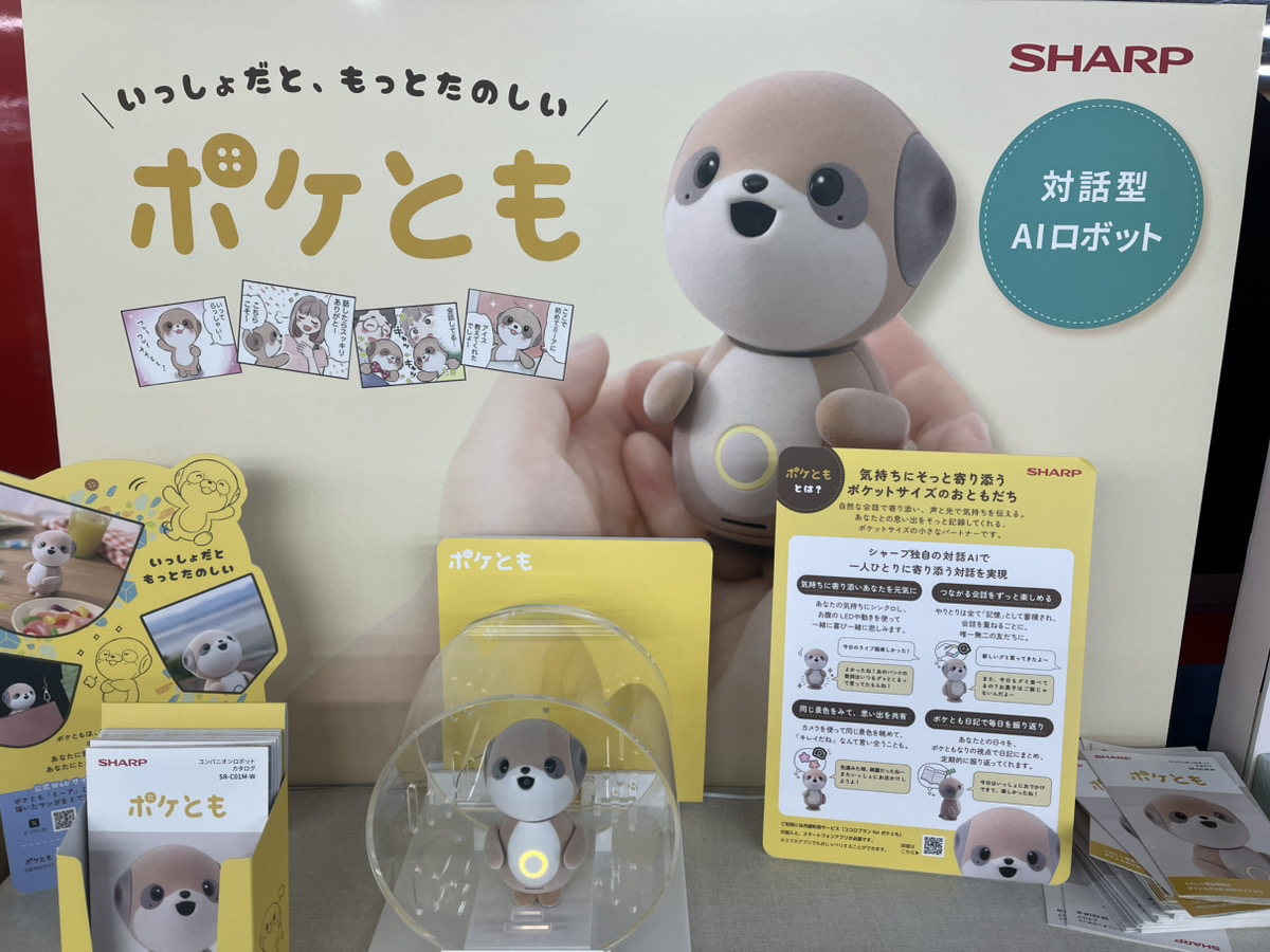 ポケとも