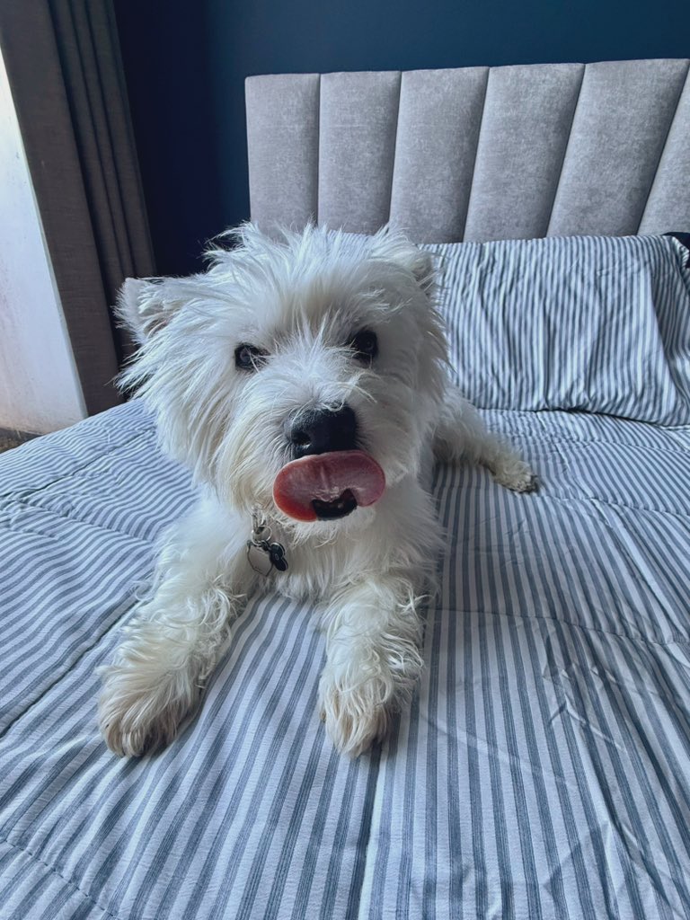 Luis®Φ tweet media