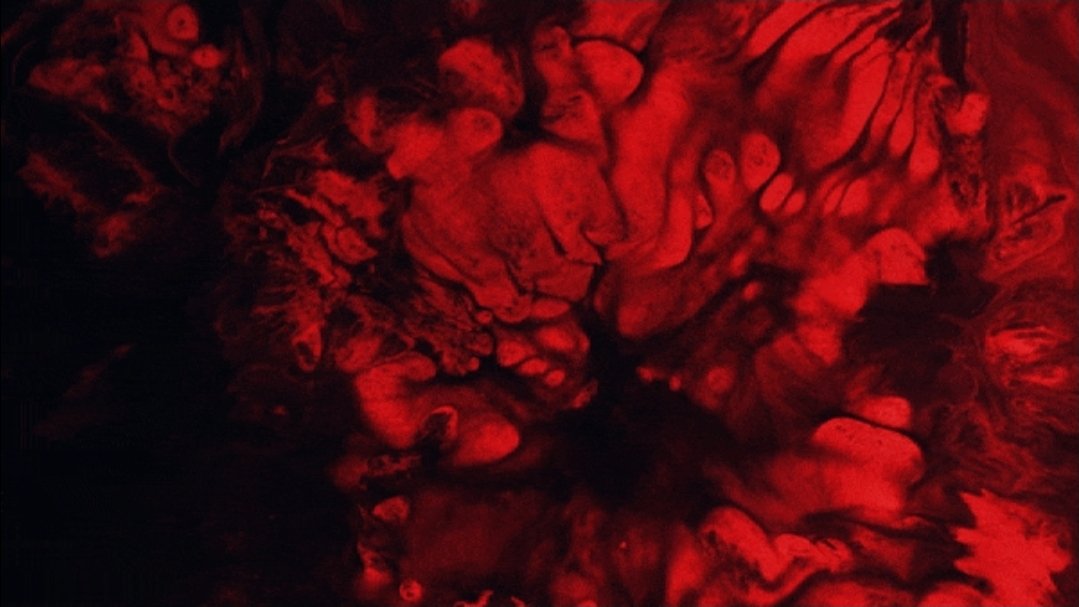 sosonosonosono's tweet image. 🚨BREAKING🚨

Zohran Mamdani will FORCE all New Yorkers to "Peep The Horror" on Times Square every single day.

What are your thoughts on this?