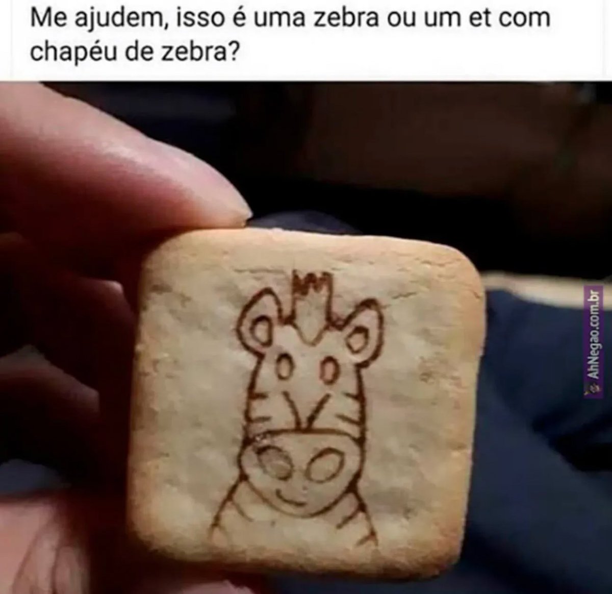 shitpostverdade's tweet image. 