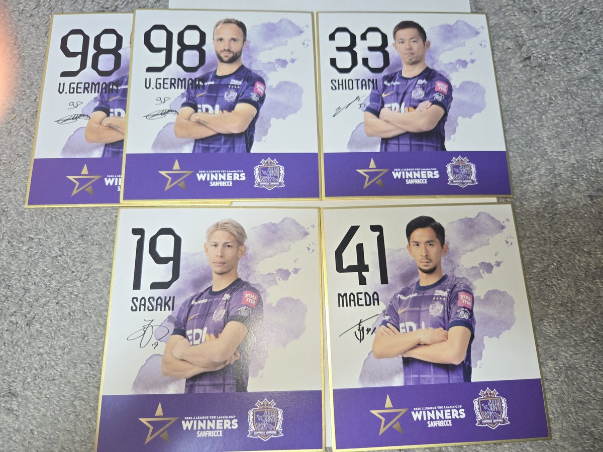 サンフレッチェ広島 ルヴァンカップ優勝記念グッズ シークレット ミニ