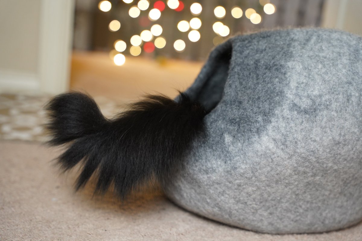 ZolderTheCat's tweet image. Wake me up when the storm is over.
#FinallyFriday #Friyay #CatLovers #FridayFeels