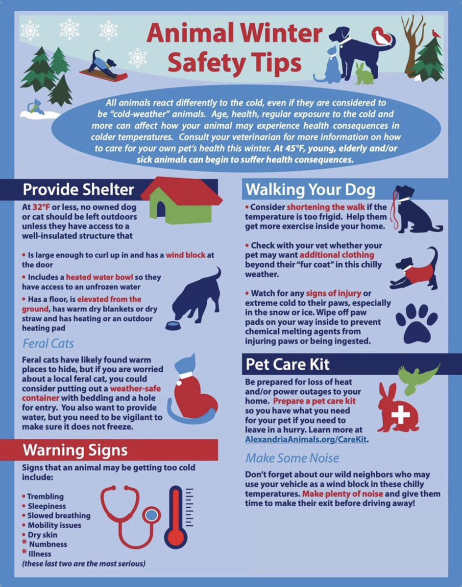 PoliceWinnebago's tweet photo. See some winter pet safety tips below. Especially removing ice melt salt from the bottoms of their feet! Could make them very sick if ingested or cause chemical burns! https://t.co/wX703ROiIU