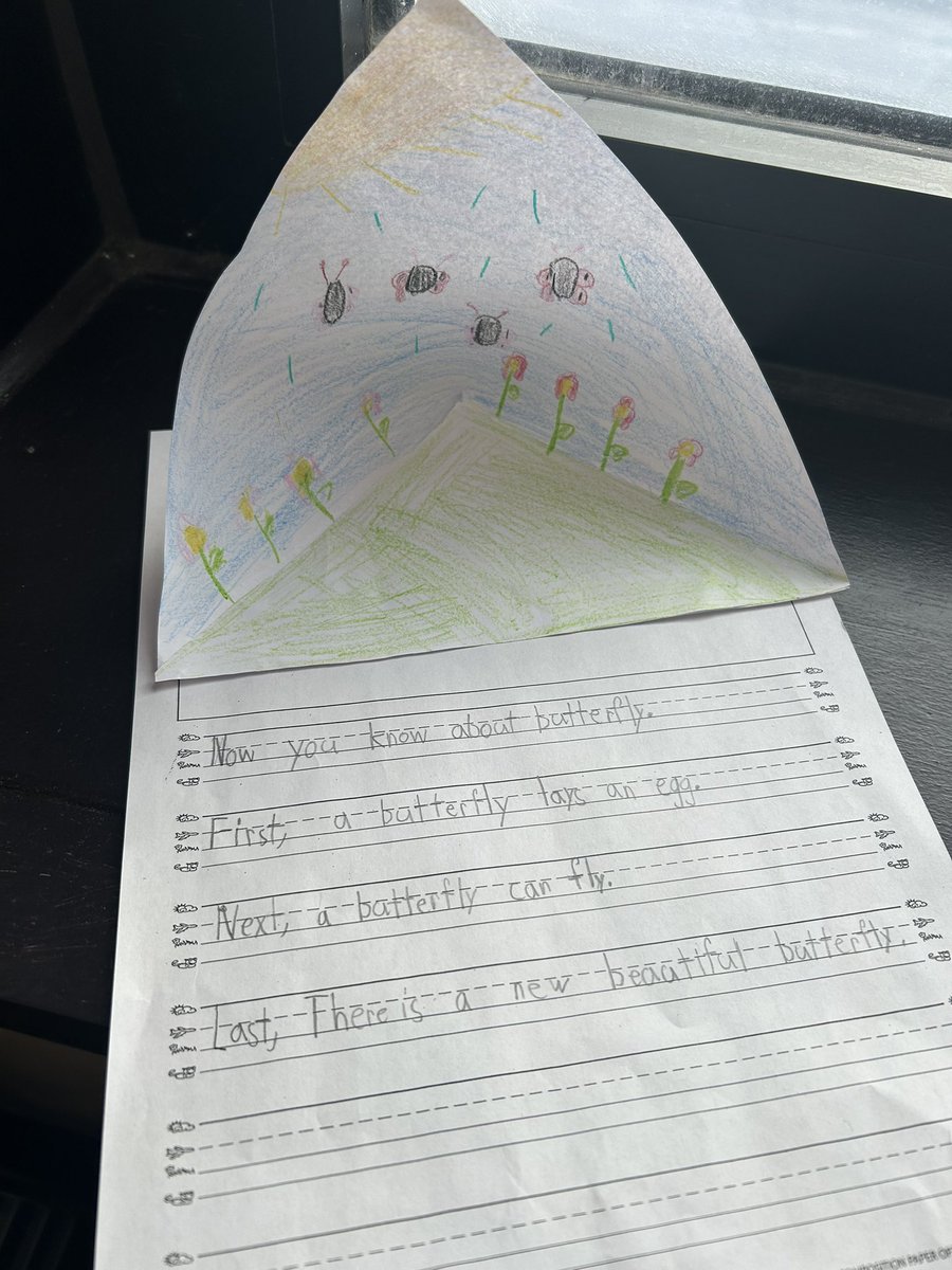 Daniella Groh tweet media