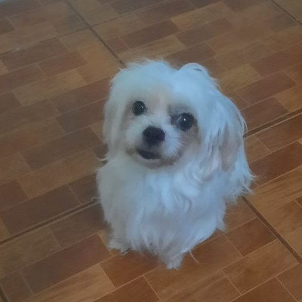 CrazySnuft tweet media