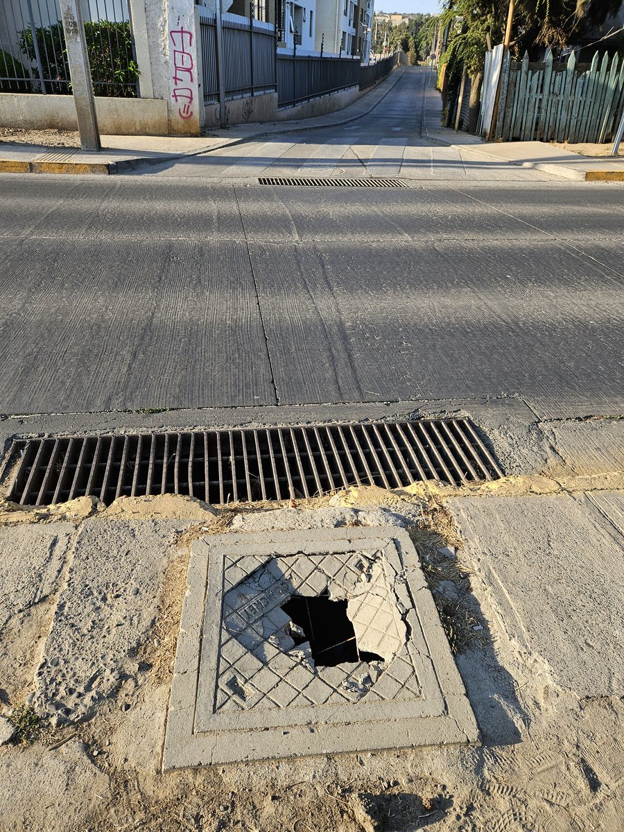 Mayte Villanea C. tweet media