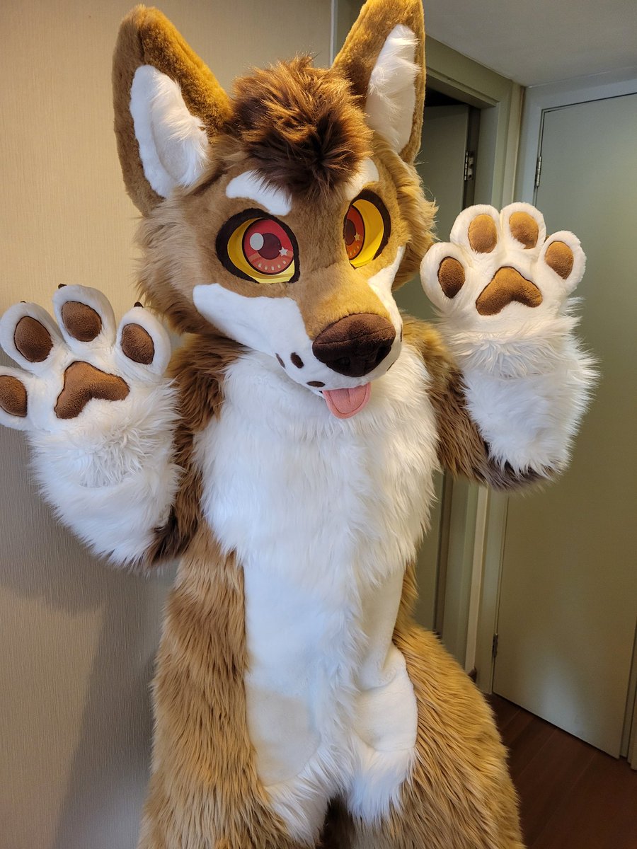 How about... beans! 🐾 #FursuitFriday