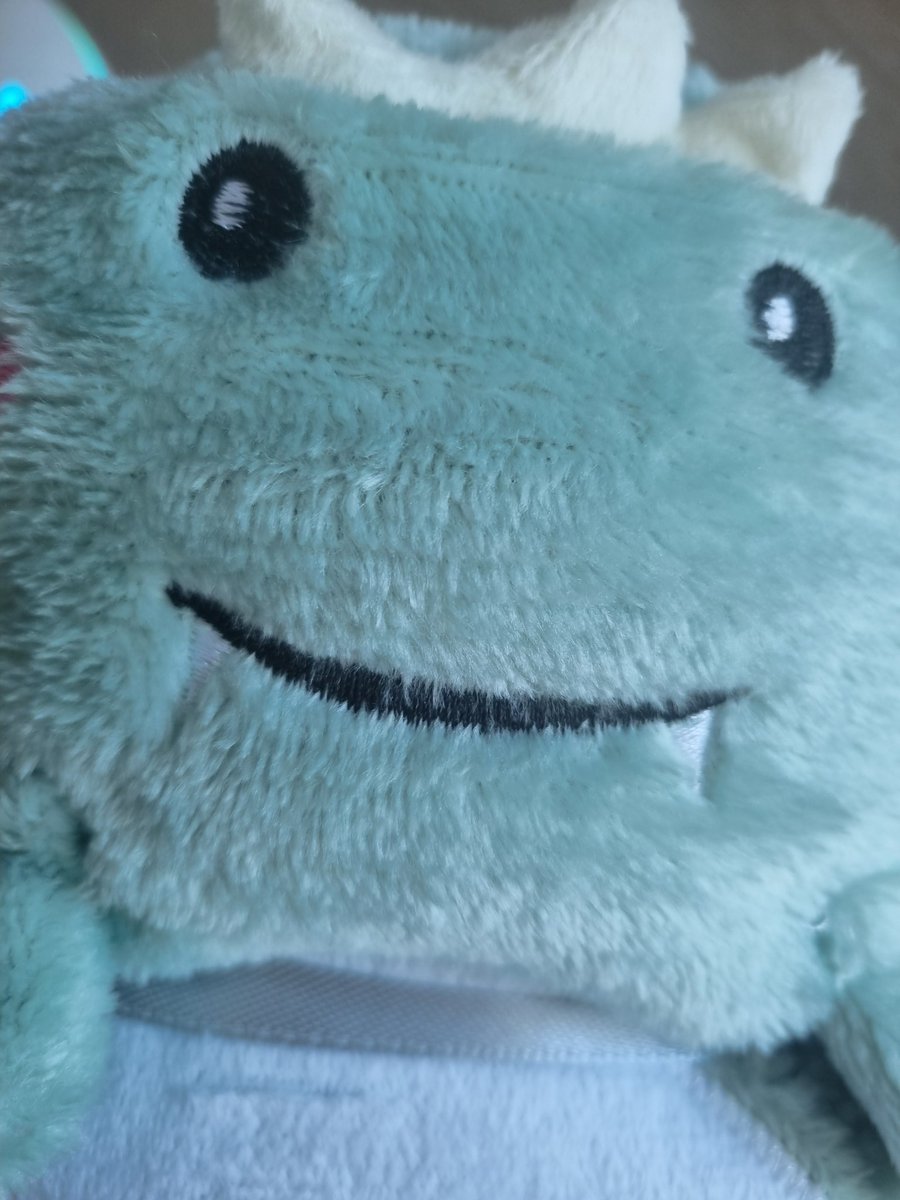 이름: 곤룡 담요
특징: 귀엽다