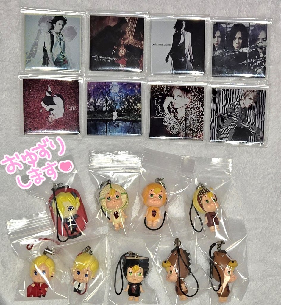 悠さま専用！Acid Black Cherry アクリルマグネット5つ Acid Black