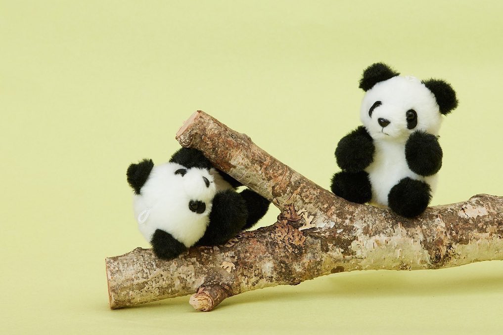 🐼#シャオシャオ #レイレイ ありがとう🐼 2体1組で、ゴム製のリボンで