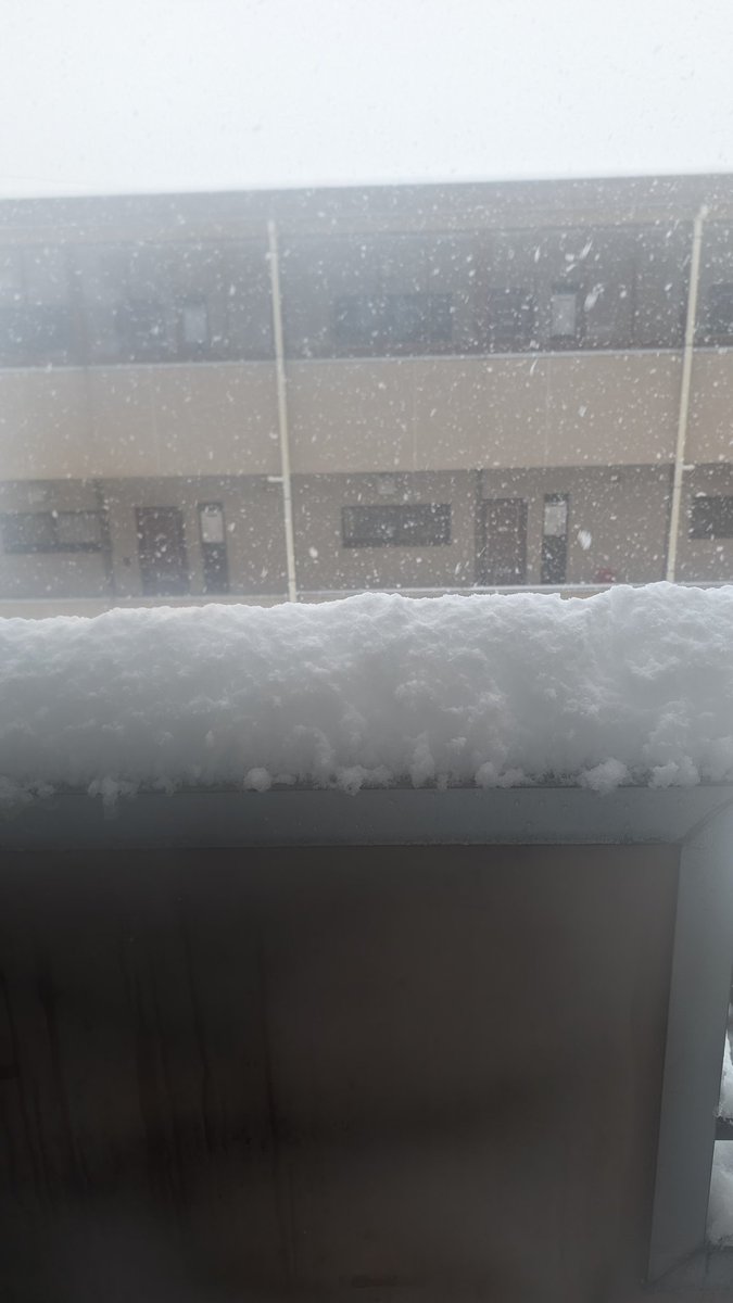 yupe43's tweet photo. 雪やばいから土日は引きこもりゲームデー https://t.co/L2TngAi69k