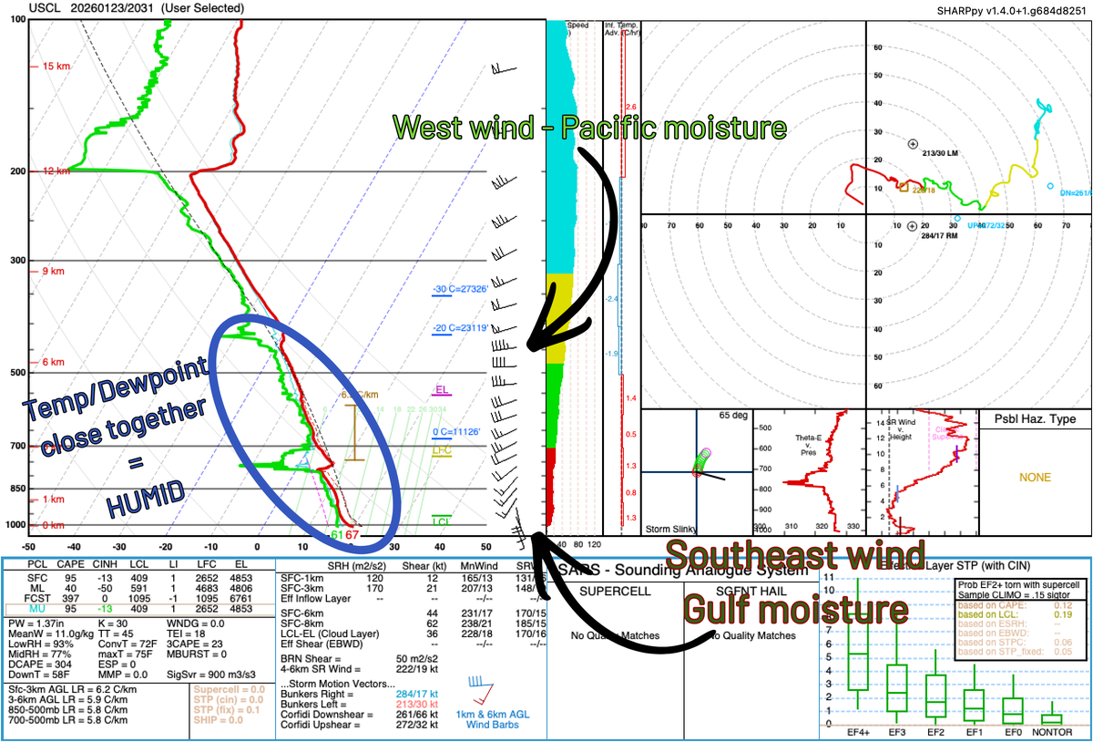 Max Crawford 👍 tweet media