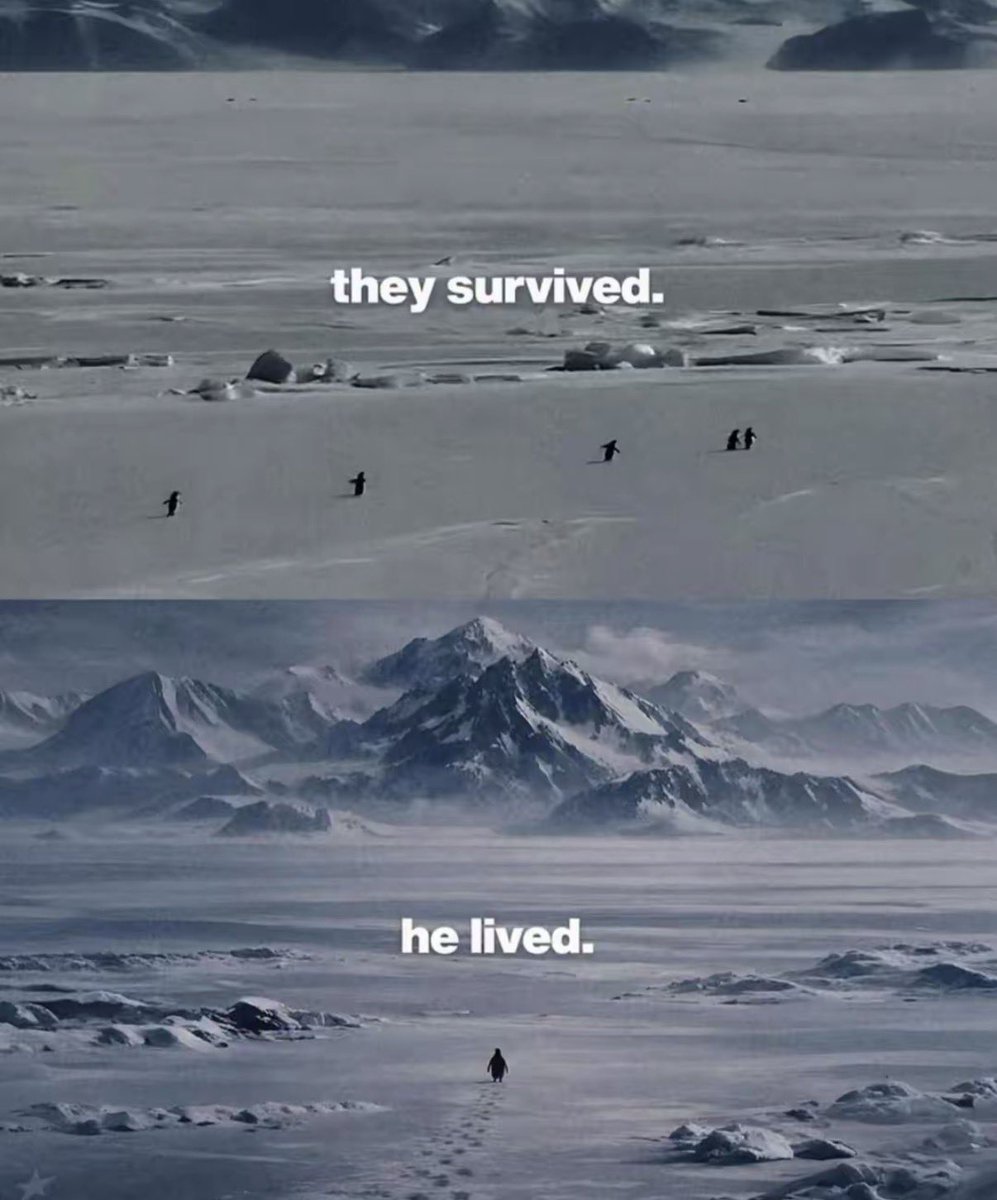 Spot the difference $Penguin