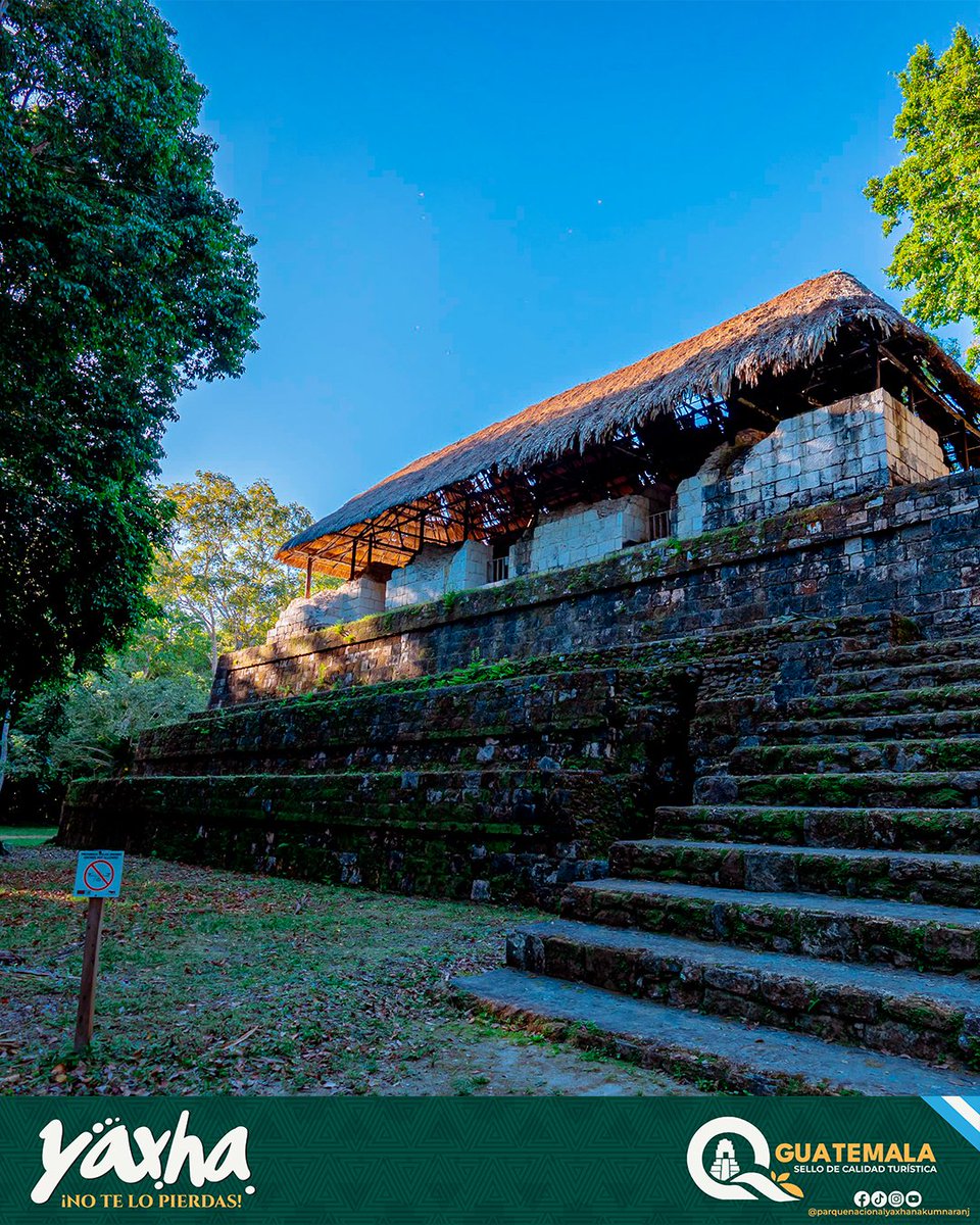 El tiempo se detuvo en Petén. ⏳🍃

Estas paredes en Yaxhá han visto pasar siglos, imperios y tormentas, y siguen aquí, esperándote. Un viaje al pasado que te conecta con tu presente. 🇬🇹✨

¿Listo para descubrir el misticismo maya?

📍 ¡No te lo pierdas!

#YaxhaNakumNaranjo