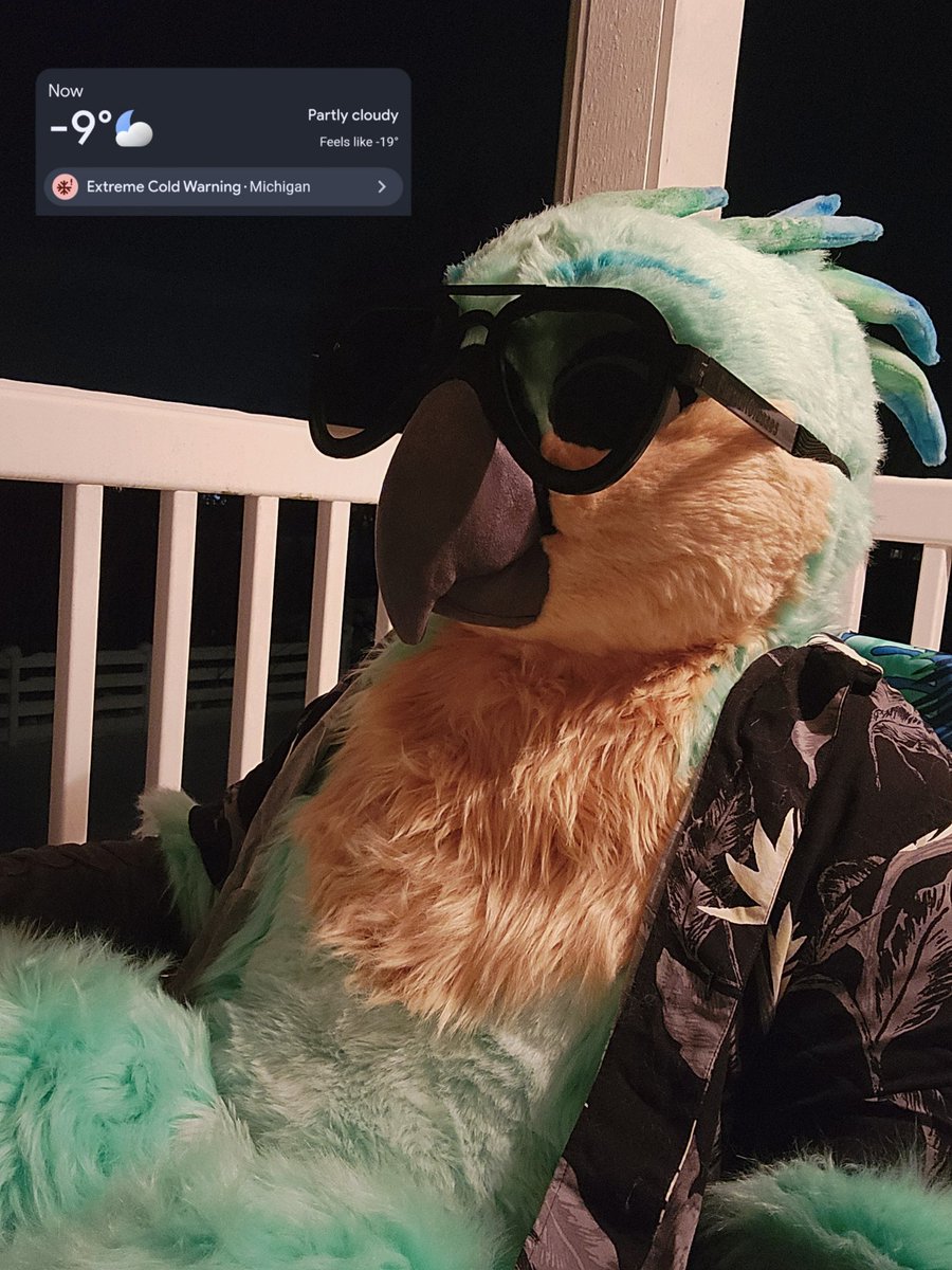 Mako_Gryphon143's tweet image. It's a bit chilly up here

Stay safe, my southern friends