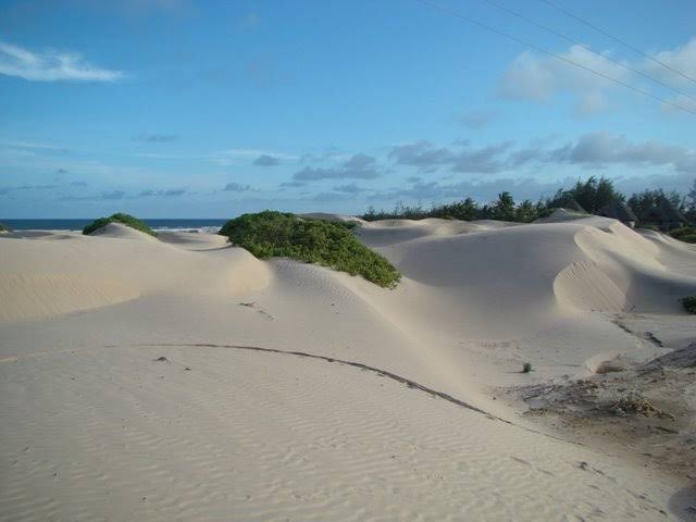 akurajr001's tweet photo. The Dunes in Mambrui are quite something 🤩.

 Add this to your bucket list. 

I can offer you a deal you can't resist. 

Check my pinned post, you can as well like and share my client might just be on your TL.

Photos courtesy of @FauzKhalid https://t.co/wxvzr3ZCdC