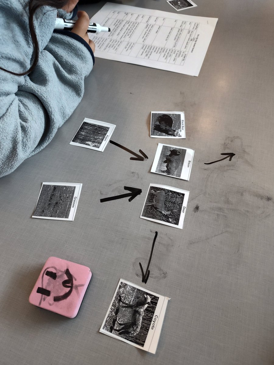 Hillary Tuerck tweet media