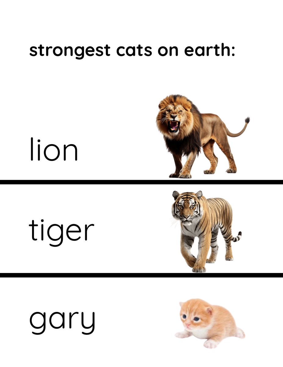 gary (@higary__) on Twitter photo 