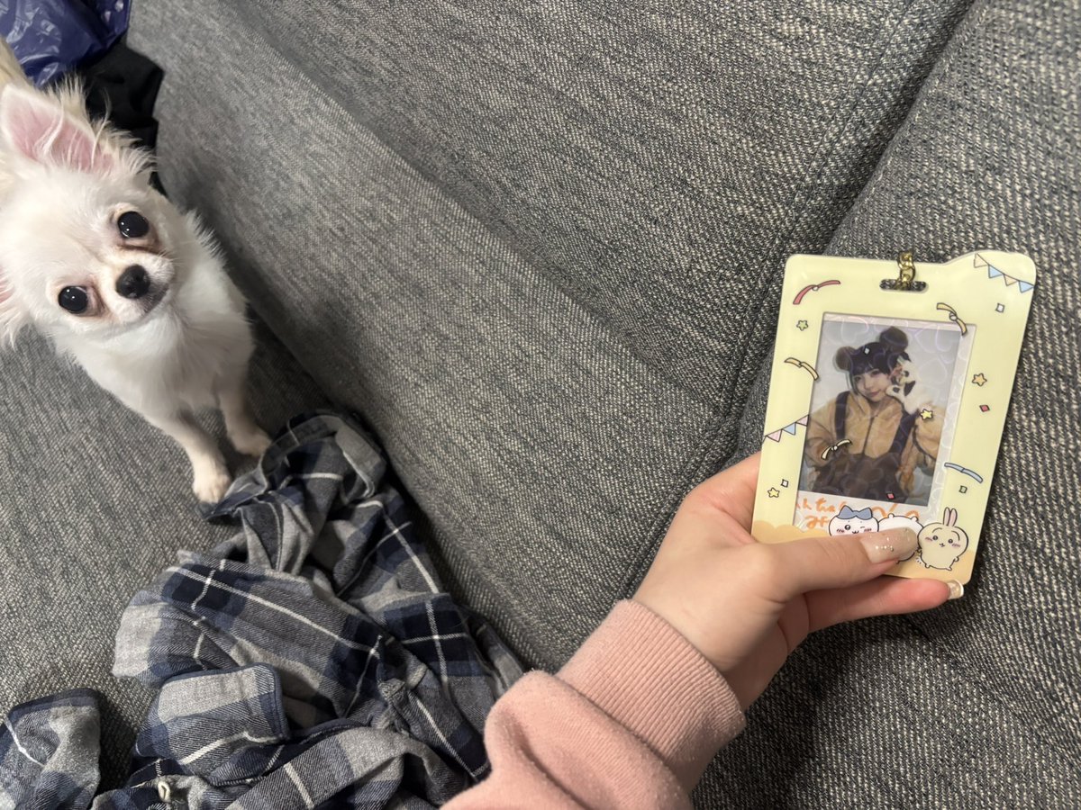 parfum__212's tweet photo. まむちゃん、うちのコロンちゃんだよ🐻‍❄️
コロンちゃん、まむちゃんだよʕ•ᴥ•ʔ🧡

 #まむに夢中 https://t.co/IhjtgAmE8a