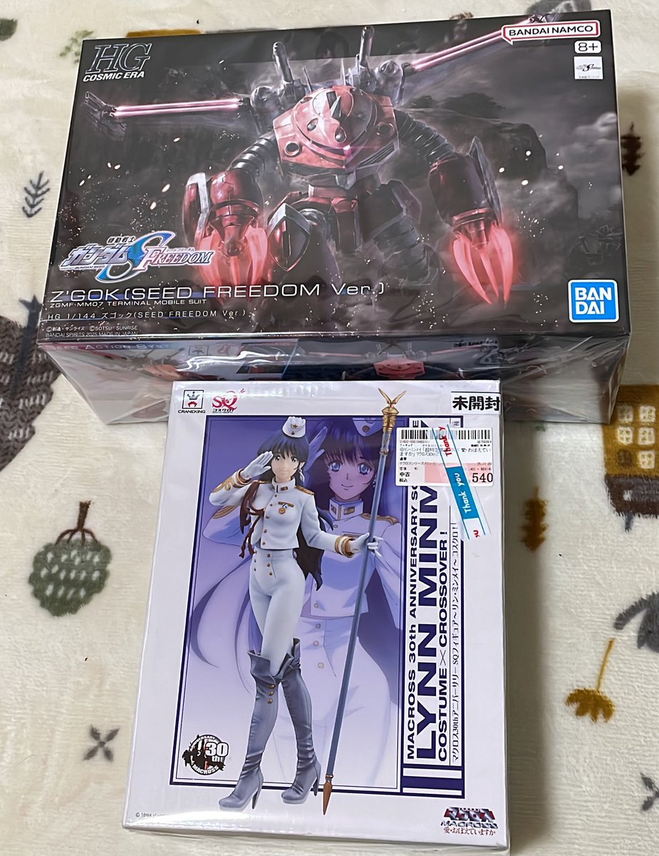 昨日前から気になっていたミンメイを迎えに行ったらSEEDズゴックさんと出会えたので連れて来たw