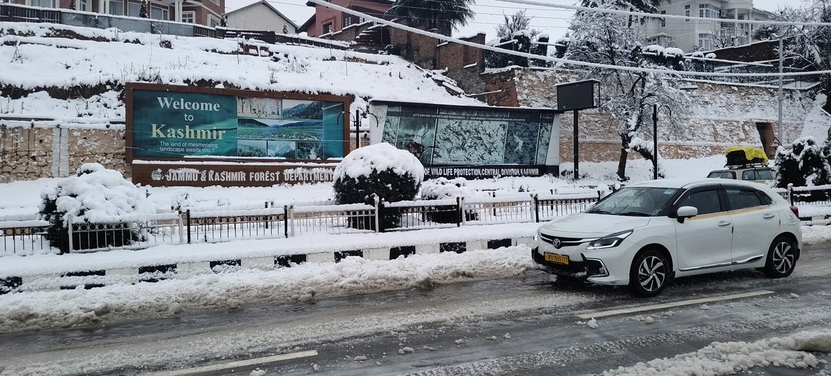 Araids Travel Trips tweet media