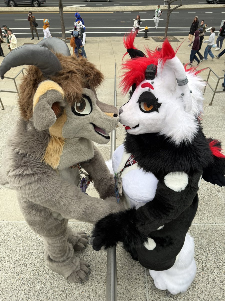 Ember❤️ tweet media