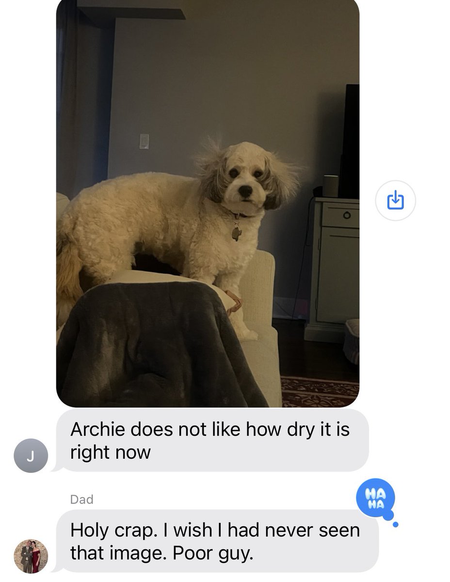 mkopss's tweet photo. archie versus the family group chat https://t.co/ibvmOVCuY5