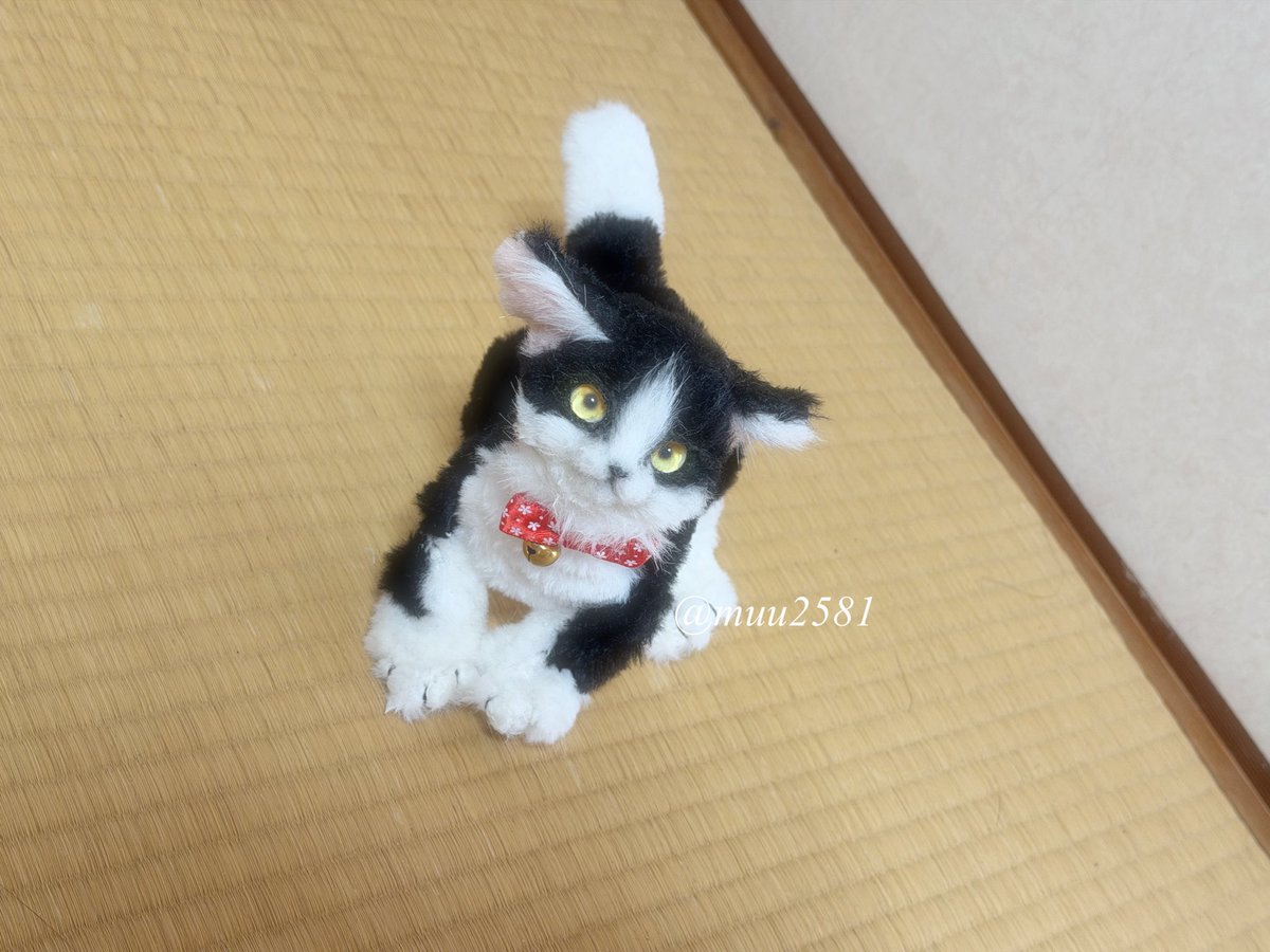 ぼくをおいて、どこ行ってたの？

#アートドール #ハチワレ猫