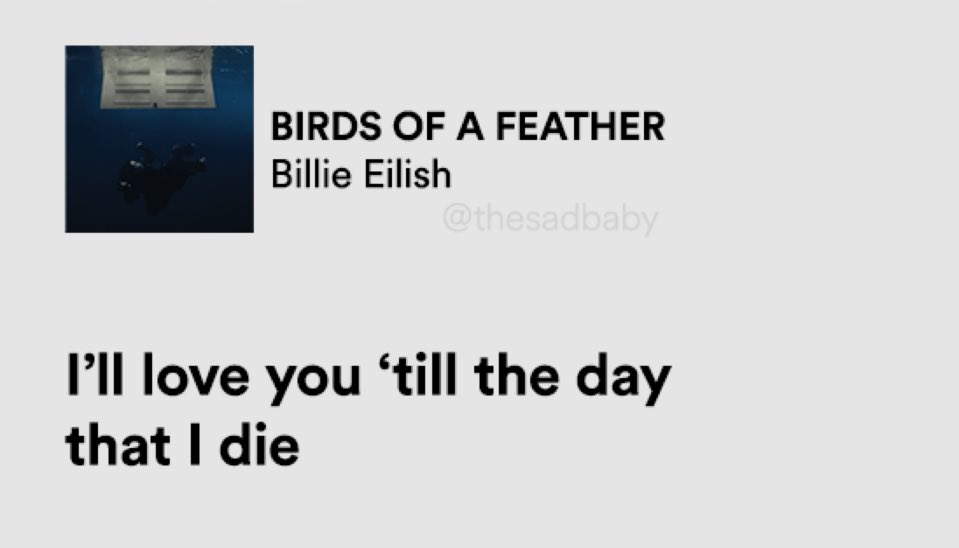 hard feelings tweet media