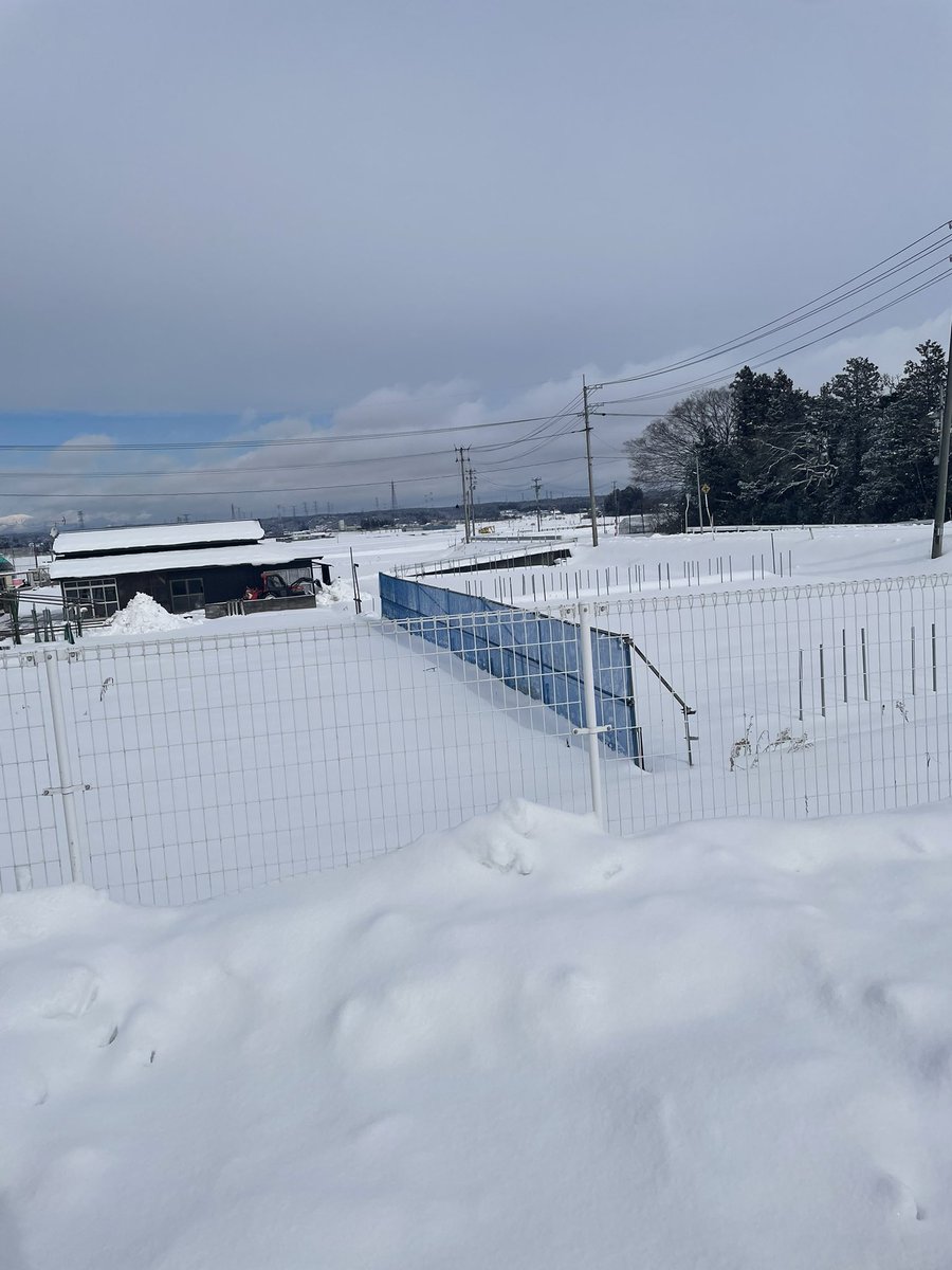 In_ナッパ3 tweet media