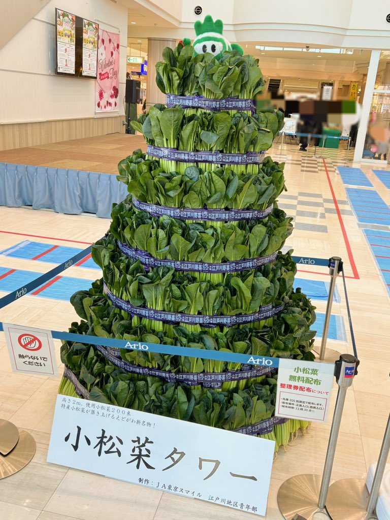 今からエドレン！小松菜祭り！
小松菜タワーあった🥬