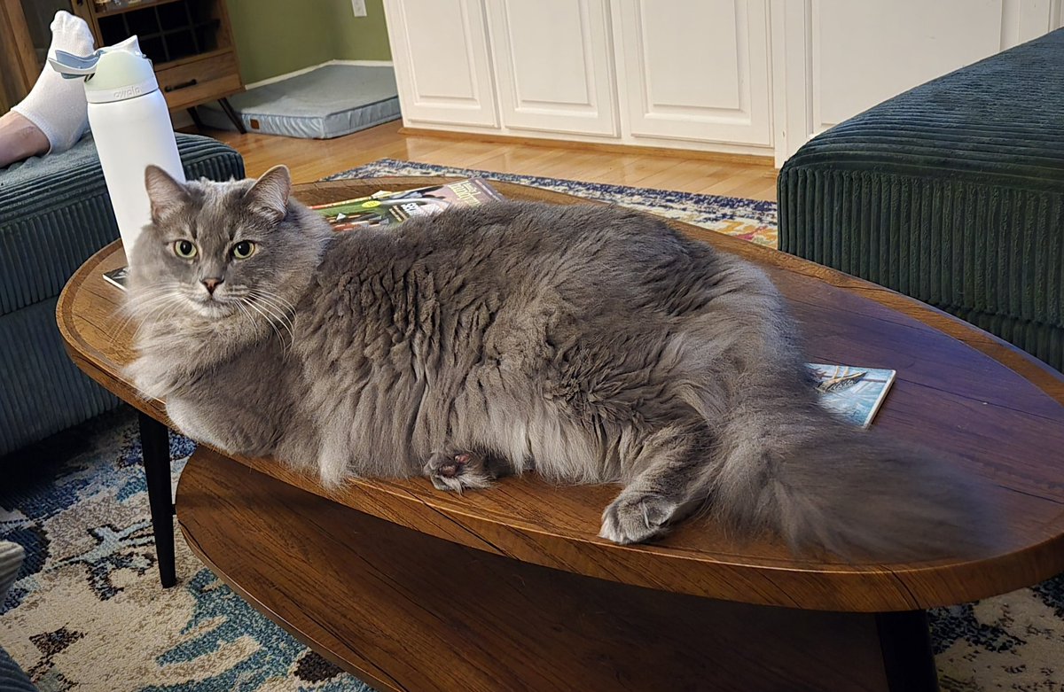 Brittany Bierman tweet media