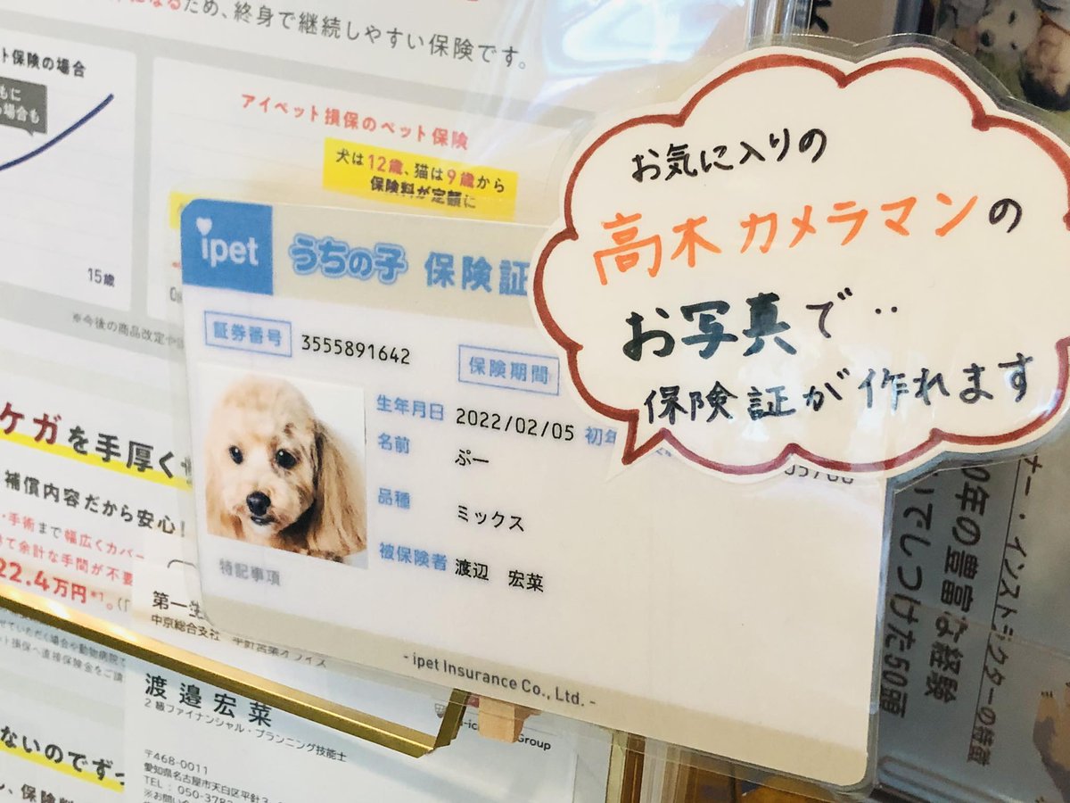高木義昭 tweet media