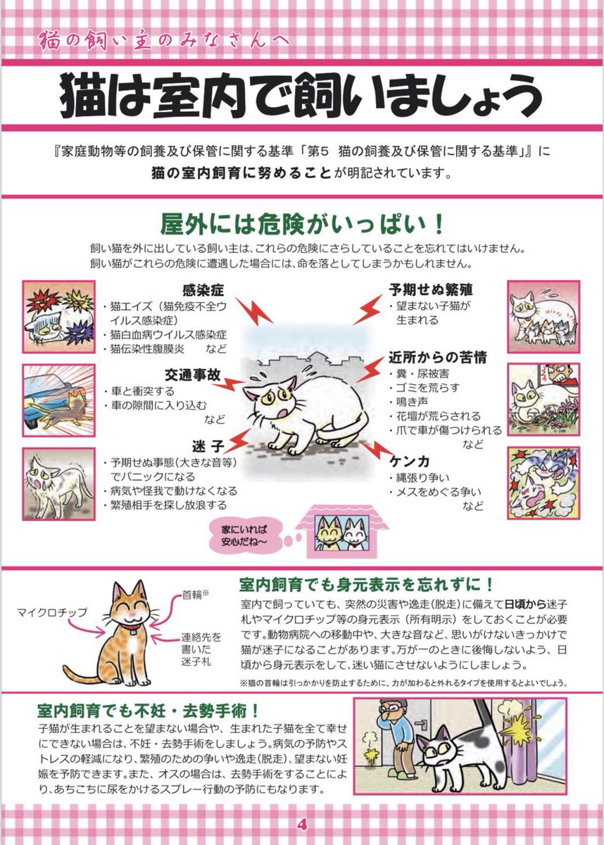 コルメル🐱 tweet media