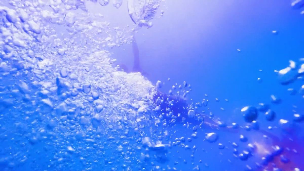 yu___m____s's tweet image. 푸름을 헤매이다