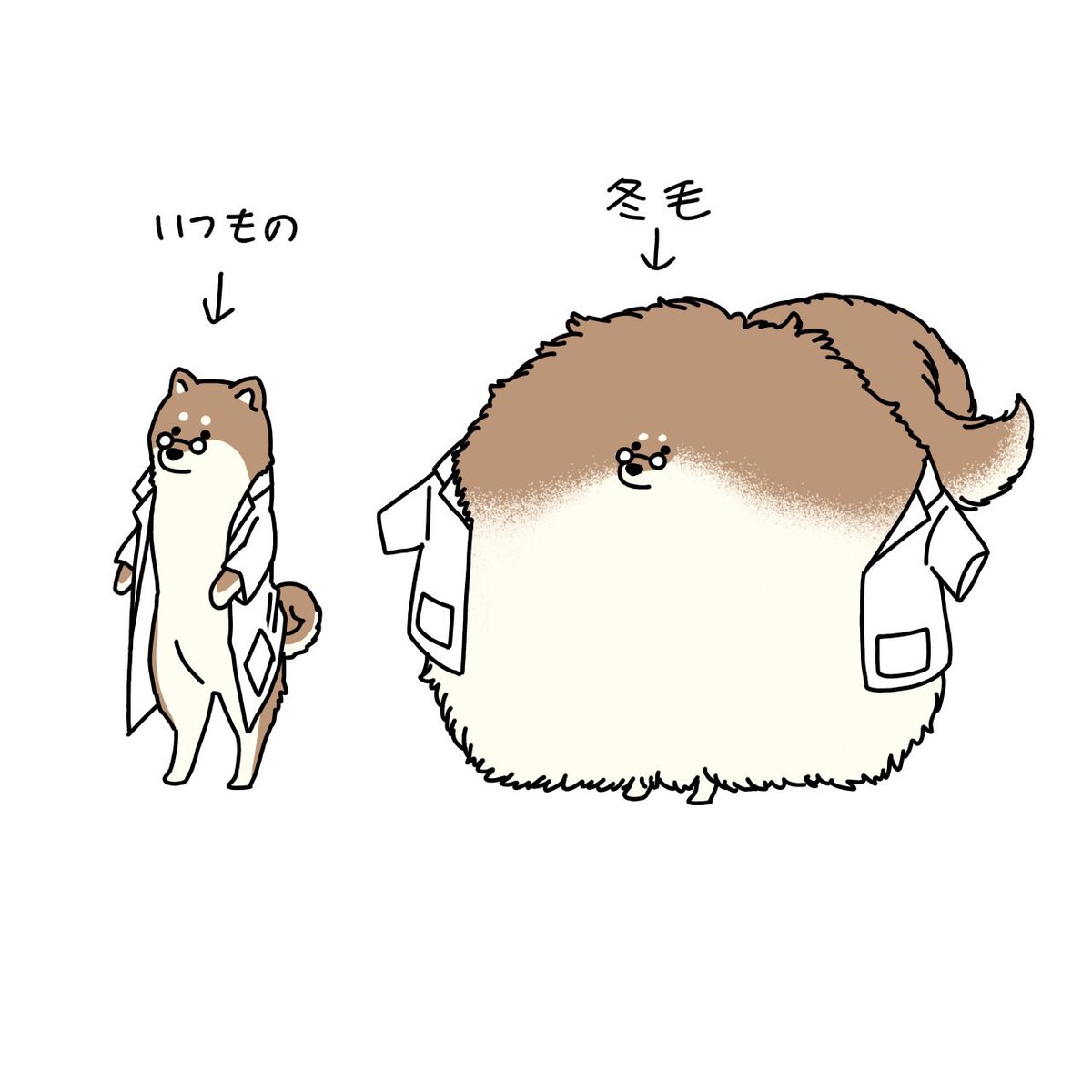 【sua様専門ページ】 シパソ🐕書籍発売中！ (@Shipaso821) / Posts / X