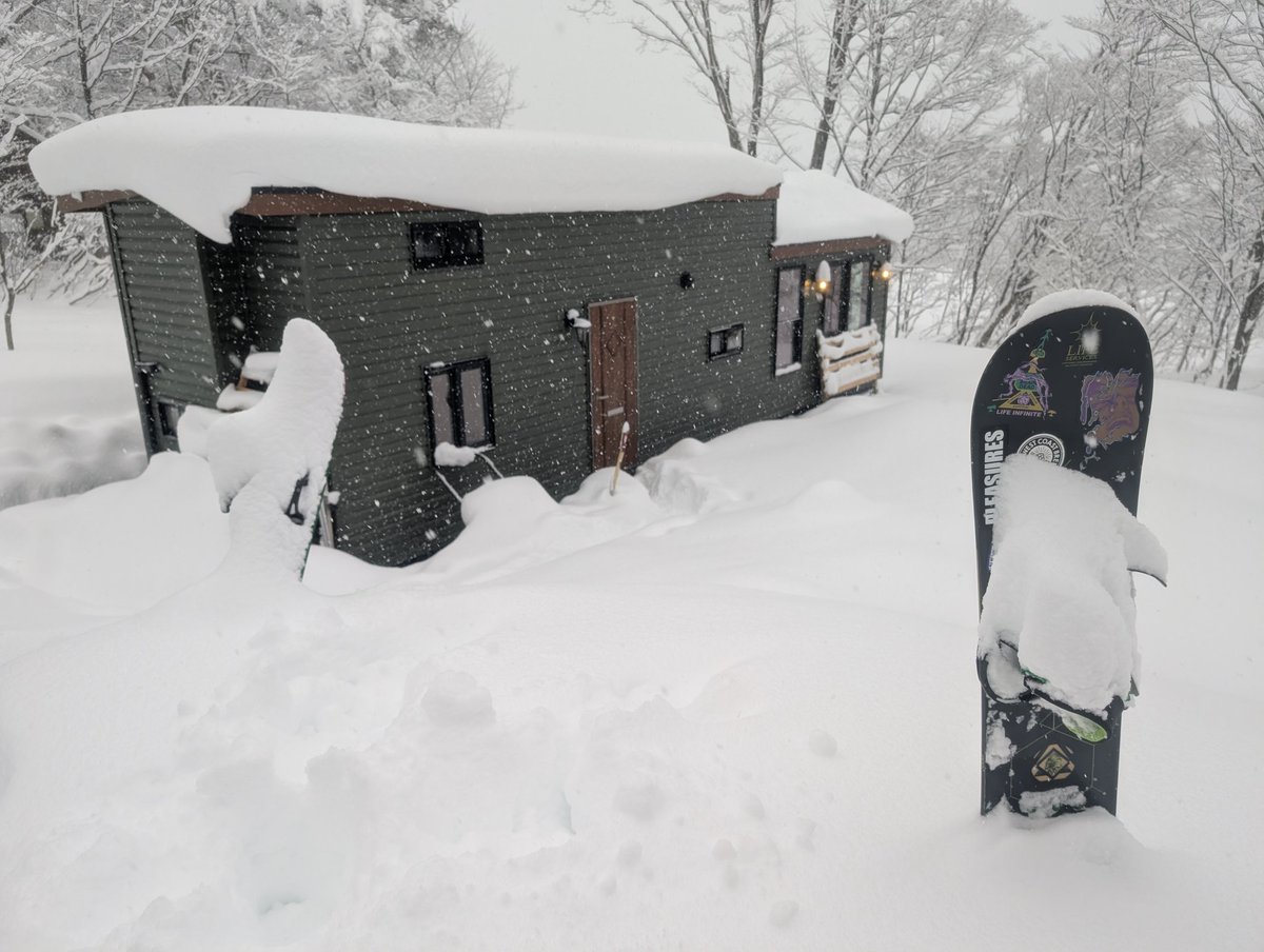 skips 🇯🇵 tweet media