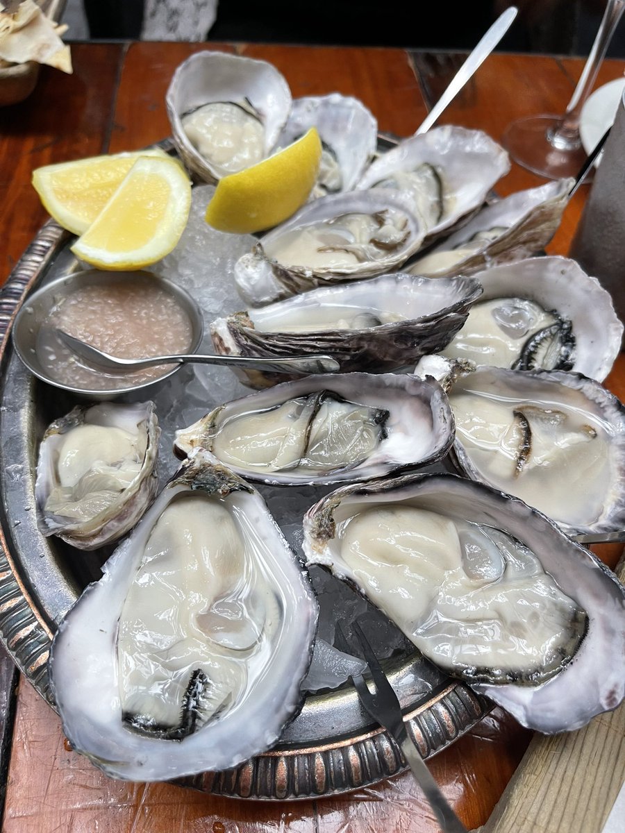 I’ve been borderline living off oysters in Auckland 🦪