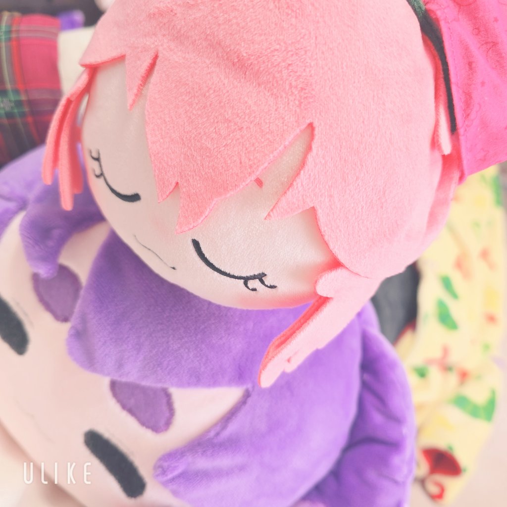 むぅむ🐻‍好きすぎてお亡くなり tweet media