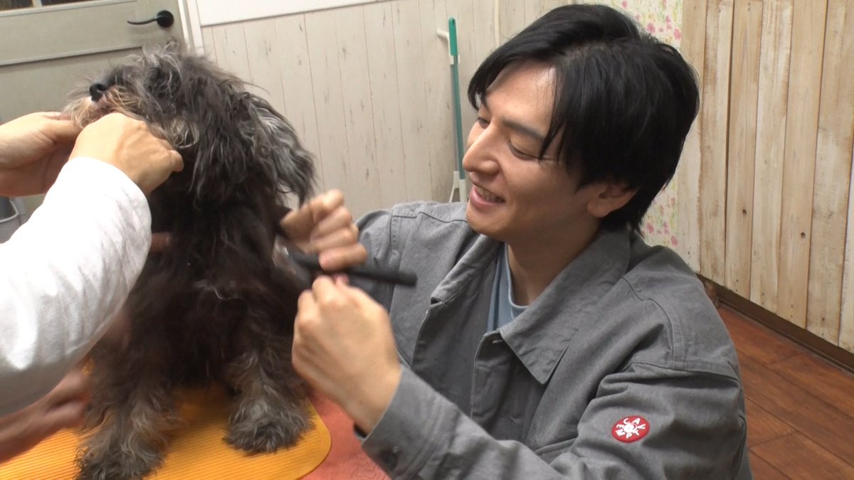 嗚呼‼︎みんなの動物園 tweet media