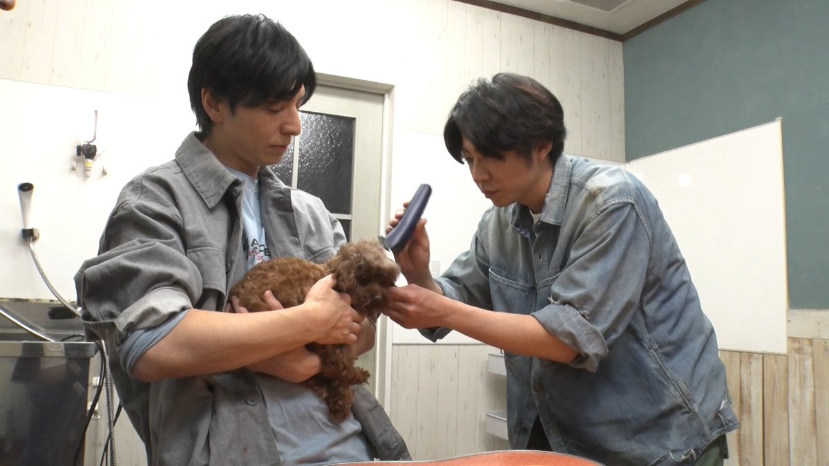 嗚呼‼︎みんなの動物園 tweet media