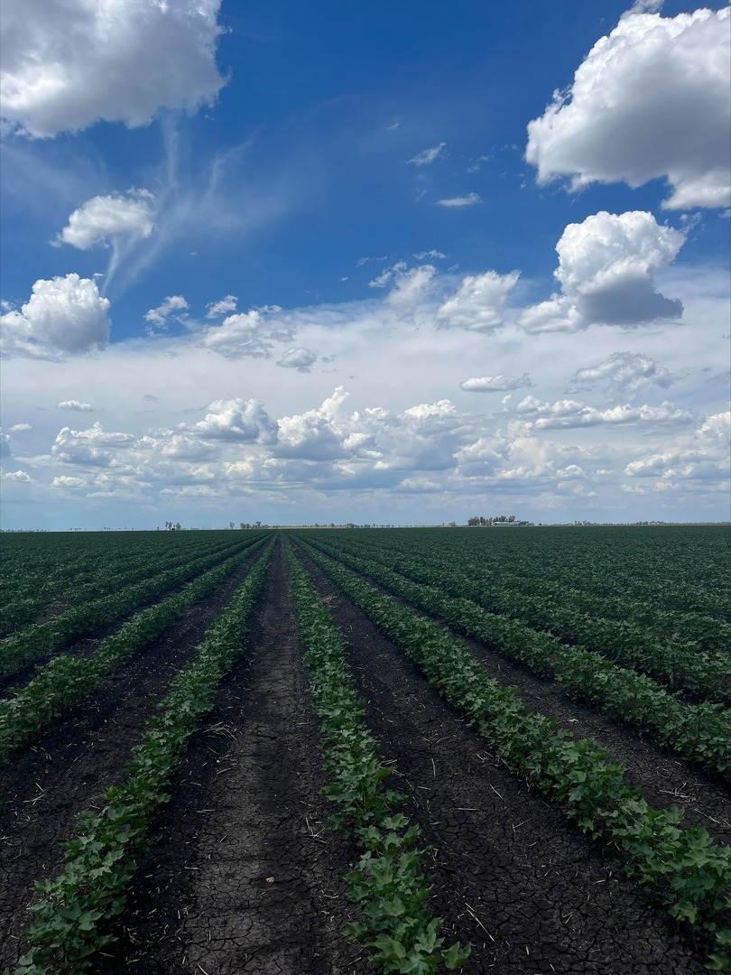 McGregor Gourlay tweet media