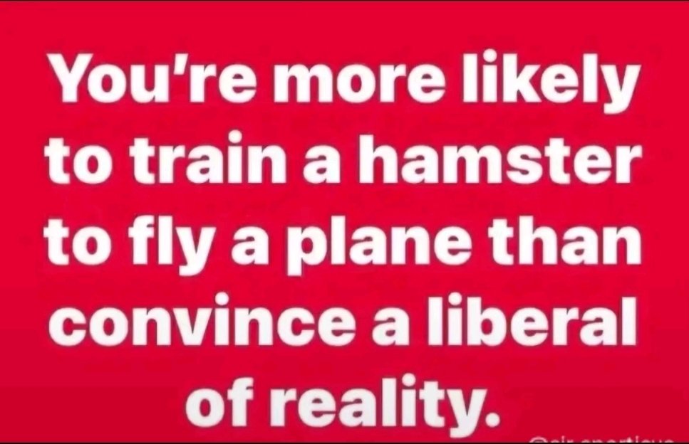 Coach Cape tweet media